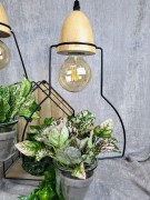 a26f126b0900bb5c503771584886215c