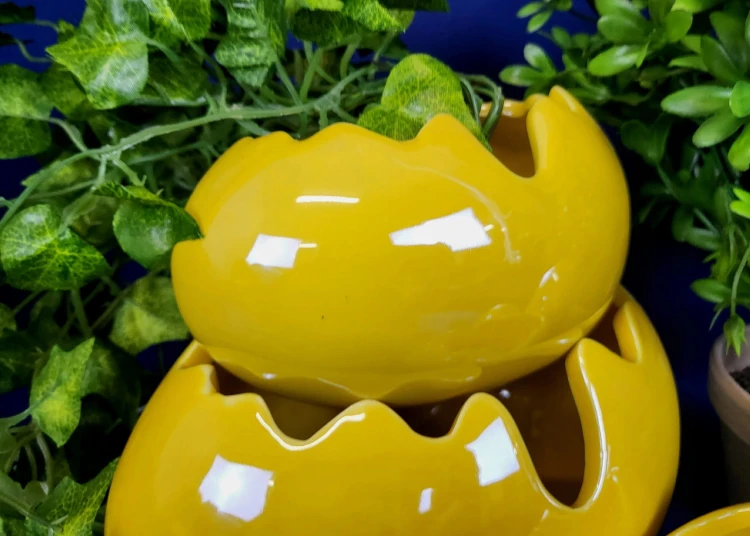 5e0da6f3cecffbbeade940270120e976