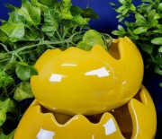 0c008e9d0ec5250e28ce705426b86ea4