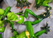 d1c9bb221d26dc1547658719f95953f5