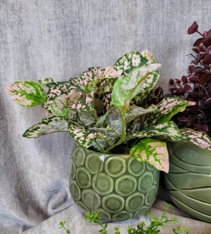 1b3bbd8edf9597918d78fba9d61c7d71