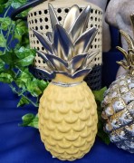 2548615a974e91a2a78826e73a24a7eb