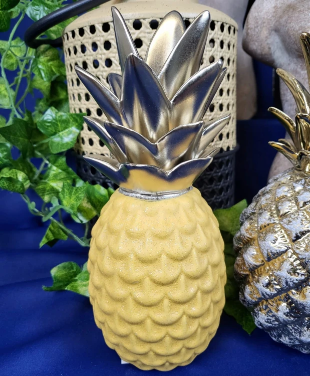 2548615a974e91a2a78826e73a24a7eb