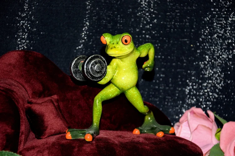 3689015a308627cf9842e67c51344160