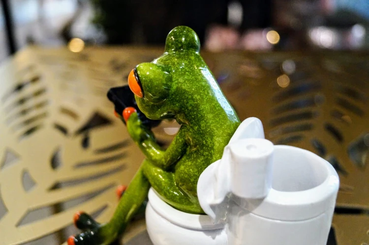 8b306e37c2054b0ed0873dd5f6bb1428