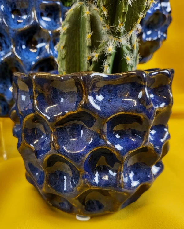 055c3fab7d69d3ad0e6eea0174ae1a25