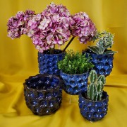 4d9f4936178f1ba91c177ca562f603ec