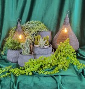 ec7e951838bb210afe1ebde6de4ebc51