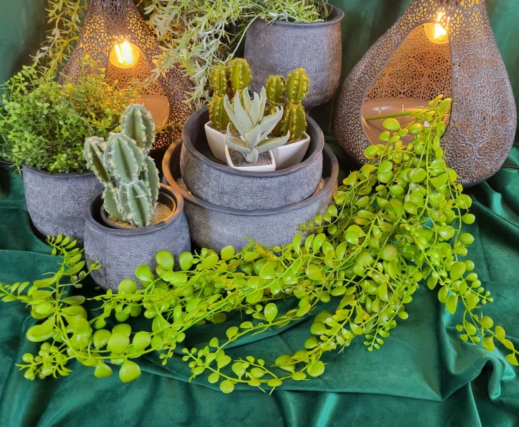 4fe450120995cf2ac6ebd18c3a329fcd