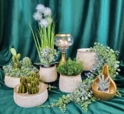 8924d7c99e7524d504f0f08c03e74ad2