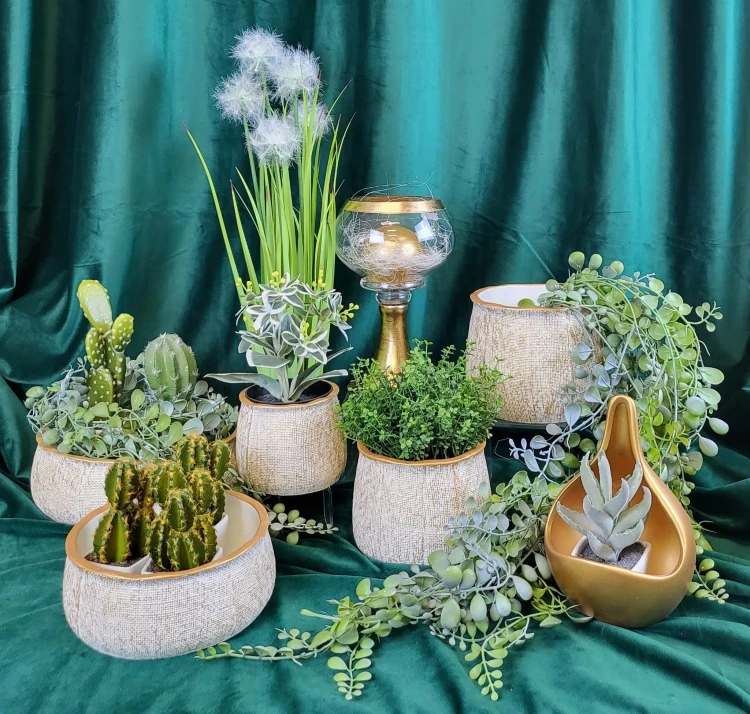 f7acb60abbea2d6509331cfaea5568b9