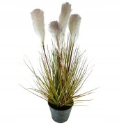 7a57c8f85b2122fe6149830b4d055204