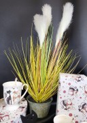 597129af07b8b8e6e4f59858bc0dcf96