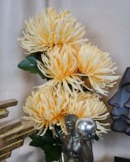 992050097b3eba9281e209c1d26b32ba