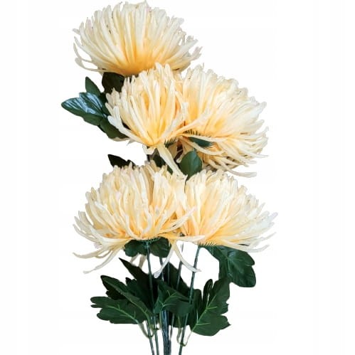 2366613bf4bc546594d030171a504943