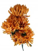 09b6f01dbf34b5c1e7a75efaf8878f6b