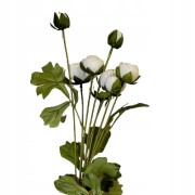 53265036a156ac8b05db7fd84ae327d3