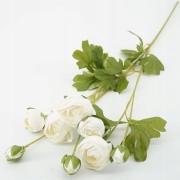 0ce4be2717b020853471c7f287e7700c