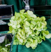 fd5ba902fbdb6fa821d58eaecb99dae8