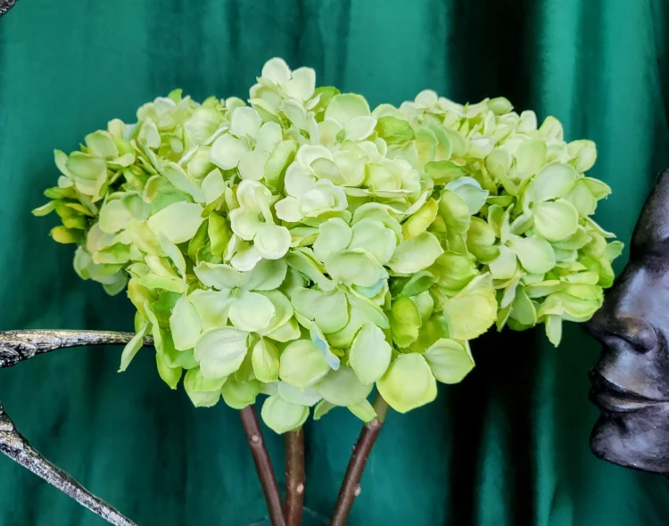 a59d62b0742ef1e476745f1cfb108a2a