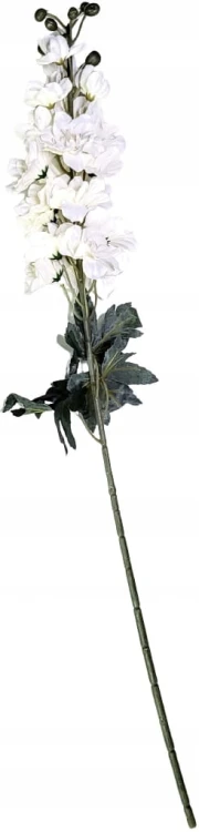 8a88cbec4e815141025b0d7626cedf07