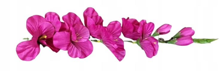 27daf3ae6beee0aec745fc3fadf72f42