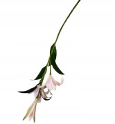 eabe3af25397daf849838846bba15ad6