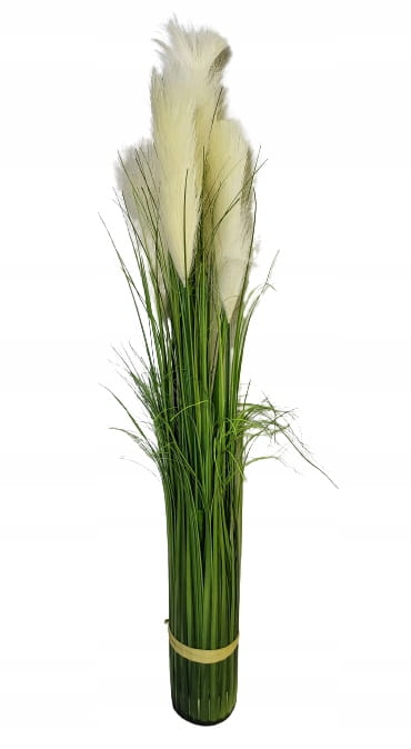 176c11d554d93816d937a435c594948a