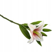 e33ef8418413fad74d0187512ccd105c