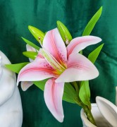 3e5d7f7d5fd24ba1e49125243f6b84b9