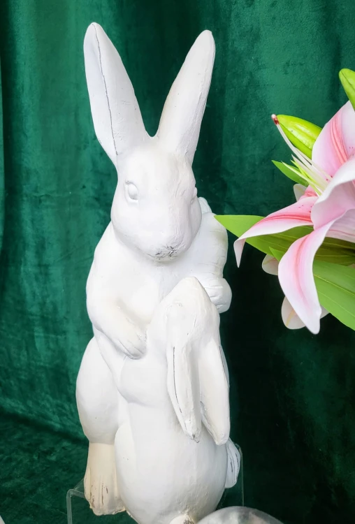 50fba01145968e605d9bac4d49cfa79a