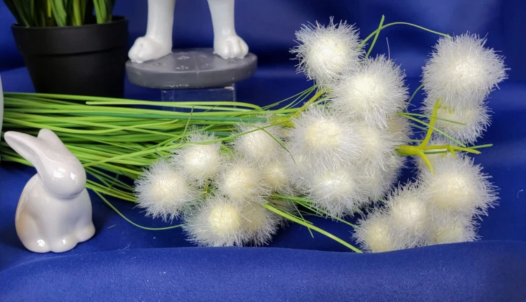 29ddfbfaf41e001ae44f84857bb1e635