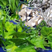 c8798526906753ad05ddc9096caacaf9