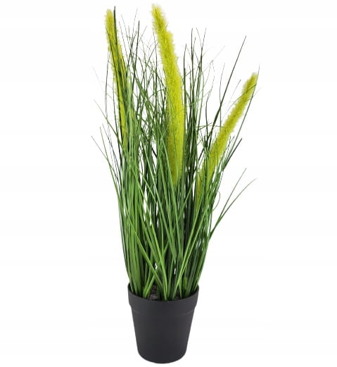 fa879010cb36f3d2ed16bfc6fee18008