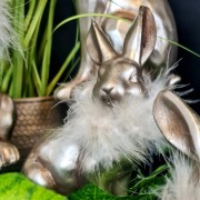 c3a0f8a2b590e1e8e5f9132b912e3f7f