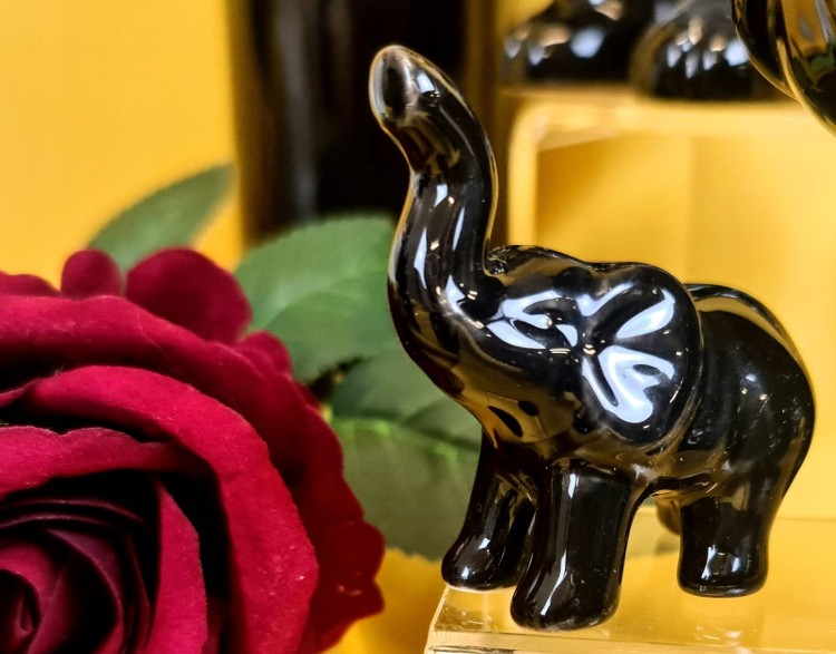 6b1eda7ec111d56a4d92a175a85298b7