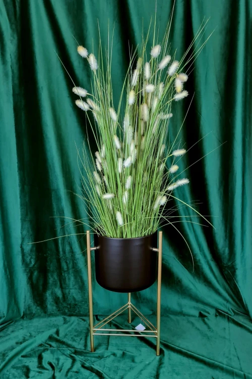 81affe4877855b87e1646ff07d9ae6b2