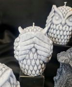 96a7a31d1685a902261fa813b5034855