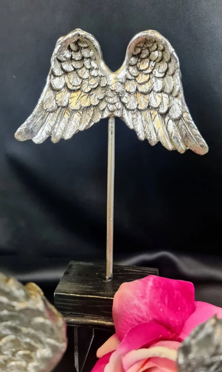 2902bd6a10c9541ae6c28db9bf690d82