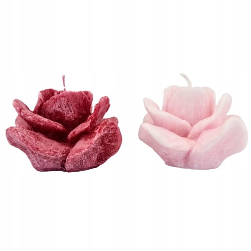 f0d824d56f7e61c6094530af193e2154