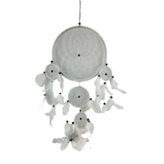 07272c54c1e4e2c8c81291c27e7afd9c