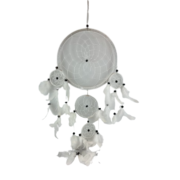 07272c54c1e4e2c8c81291c27e7afd9c