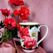 a6d55e1906c44aa110bdf236c30a9dea