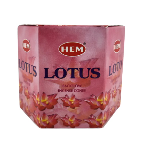 KADZIDŁA STOŻKOWE - BACKFLOW LOTUS