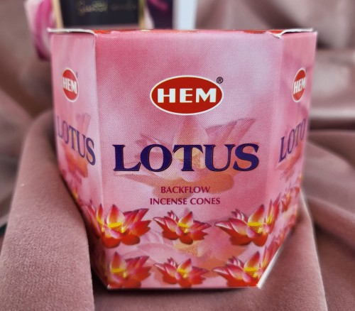 KADZIDŁA STOŻKOWE - BACKFLOW LOTUS