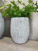 a9e229581a75cf9d6014459ee07a894d