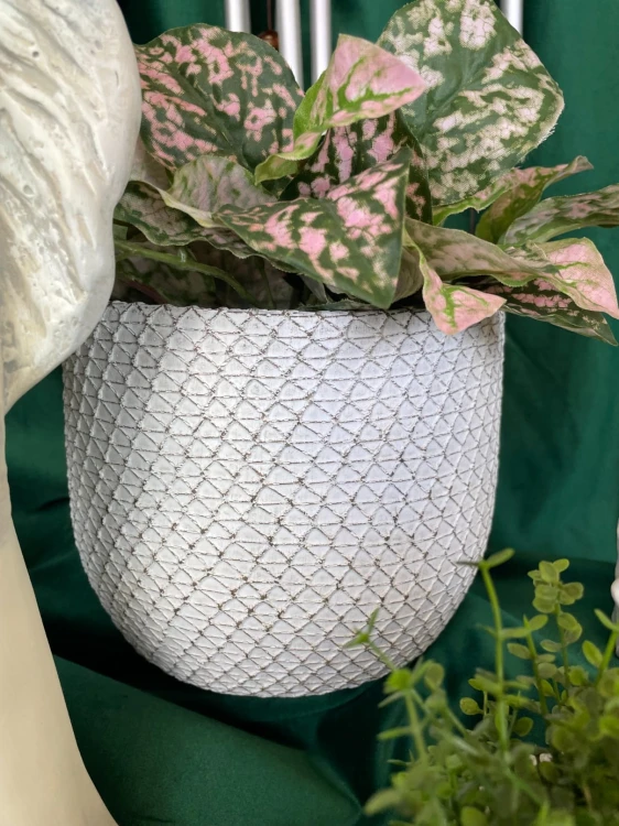 72c5bbec97ef03c1db02fc57f939bc5e