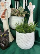 e8b3b6fa30acef01e7a39d5a72ddff48