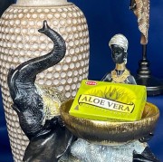 KADZIDŁA STOŻKOWE - ALOE VERA