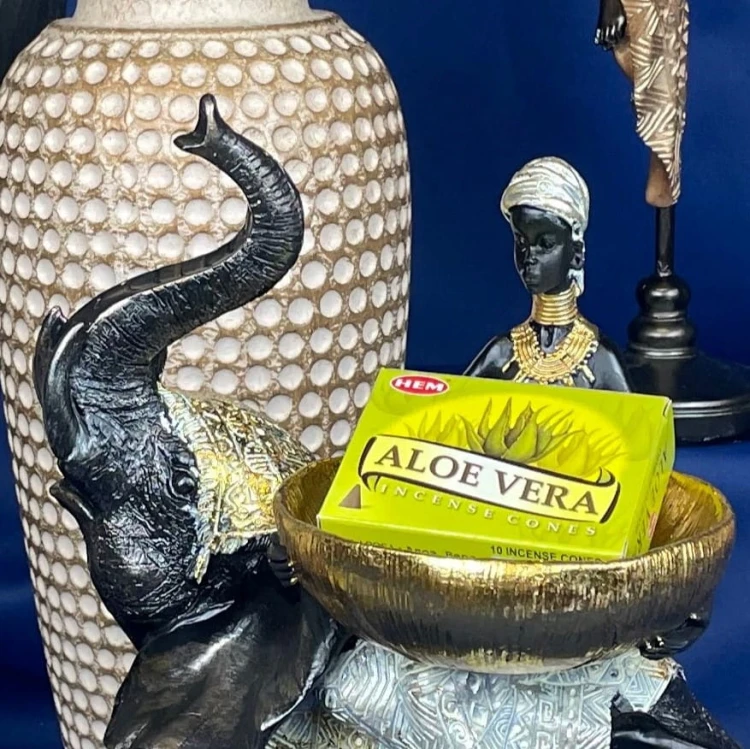 KADZIDŁA STOŻKOWE - ALOE VERA